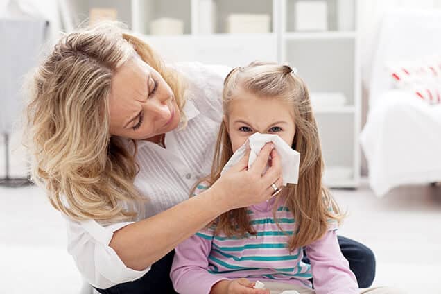 Trusted Indoor Air Quality Service on Amelia Island